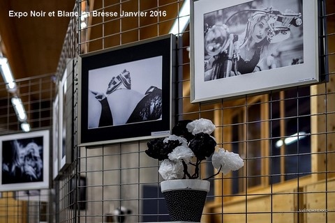 Thème : Noir et Blanc La Bresse Janvier 2016