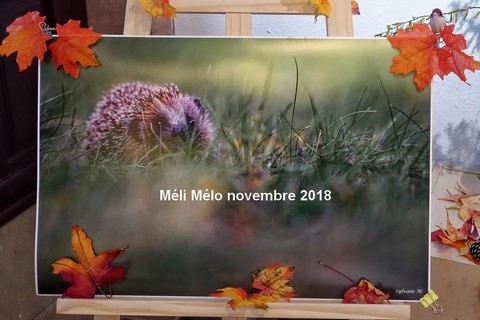 Thème : Méli-Mélo Galerie du Bailli Épinal Novembre 